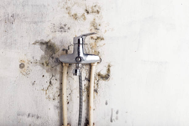 Water Damage Restoration in Bald Kno, AR