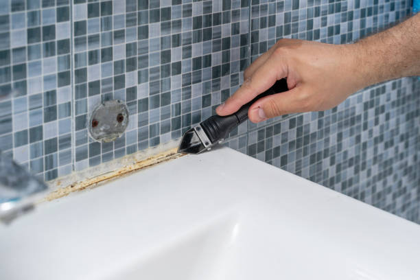 Best Mold Removal Company Near Me  in Bald Kno, AR